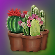 Fájl:Kaktusz.png