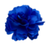Fájl:Kék virág.png