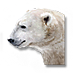 Fájl:Gnóm jegesmedvéje.png