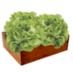 Fájl:Egy doboz saláta.png
