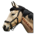 Fájl:Giornalino del West Pony-Expressze.png