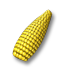 Kukoricaföld