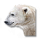 Gnóm jegedmedvéje