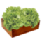 Egy doboz saláta